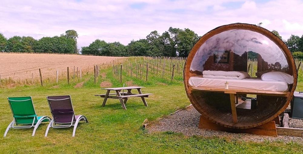 Tonneau Bulle Insolite, Vue Sur Vignoble Pouldergat Exterior foto