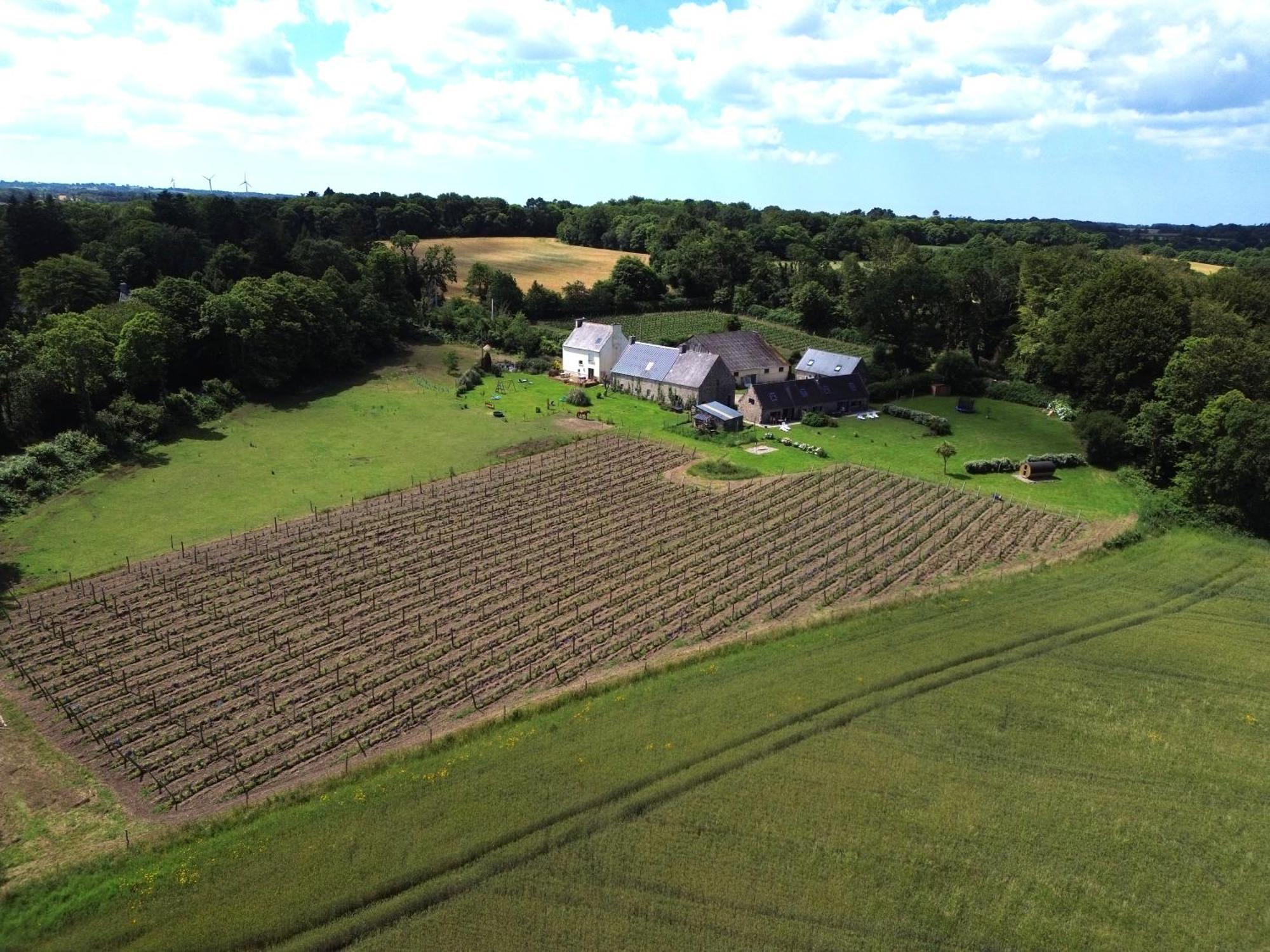 Tonneau Bulle Insolite, Vue Sur Vignoble Pouldergat Exterior foto